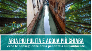 Cronaca Coronavirus aria più pulita e acqua più chiara, ecco le conseguenze della pandemia sull'ambiente